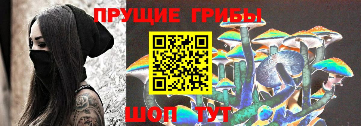 Галлюциногенные грибы мицелий  Вход с VPN  где продают   Дзержинский 